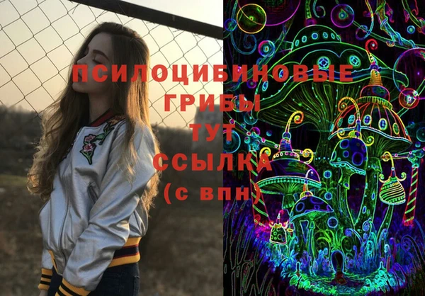 твердый Абаза