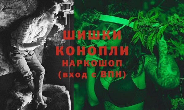 твердый Абаза