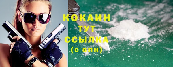 твердый Абаза